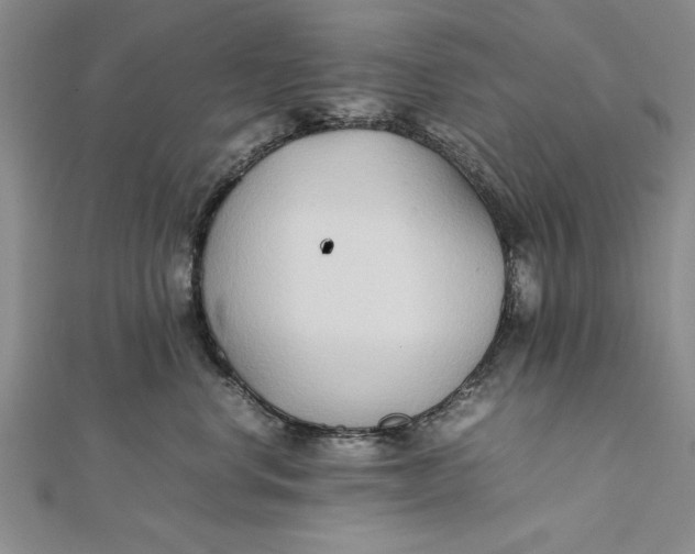 X0000112170668200908281341