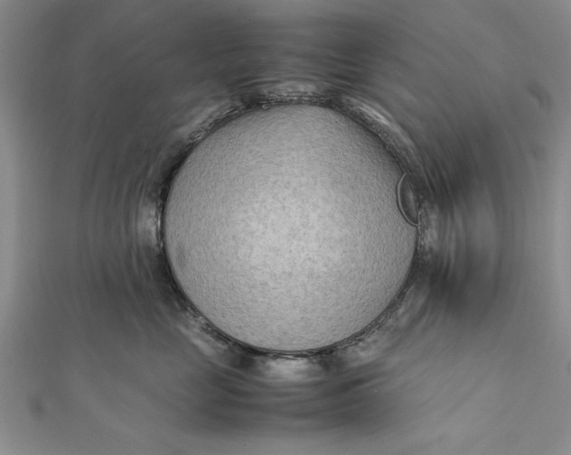 X0000112170669200908281341