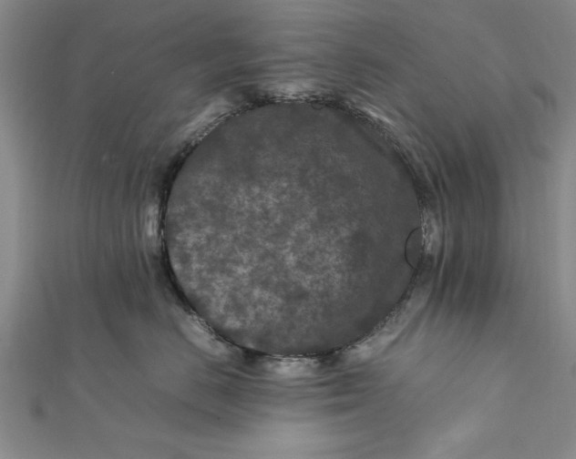 X0000112170670200908281341