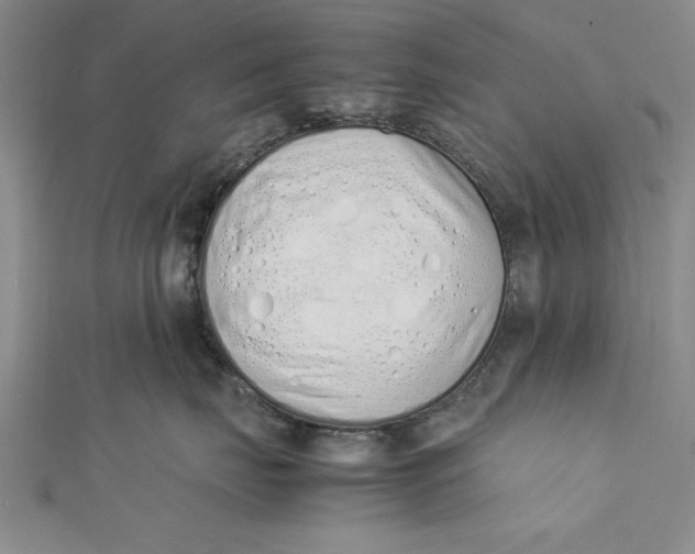 X0000112170671200908281341