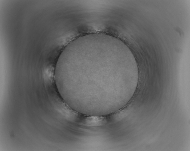 X0000112170672200908281341