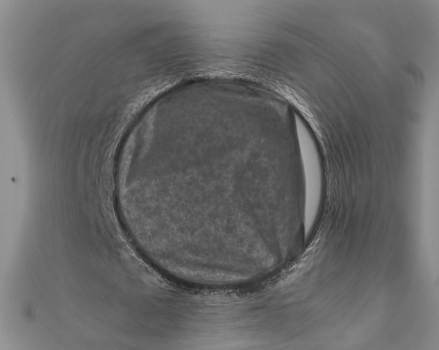 X0000112170673200908281340