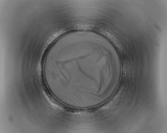 X0000112170674200908281340