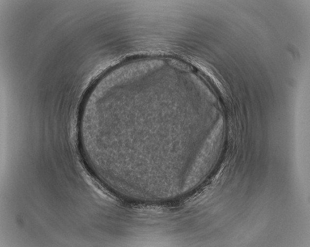 X0000112170677200908281340