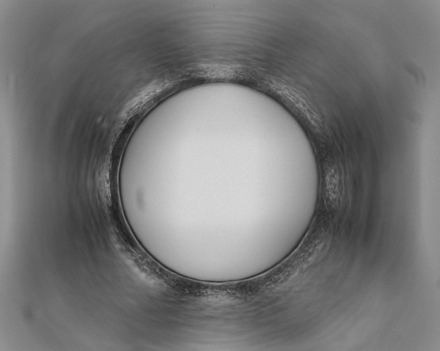 X0000112170682200908281340