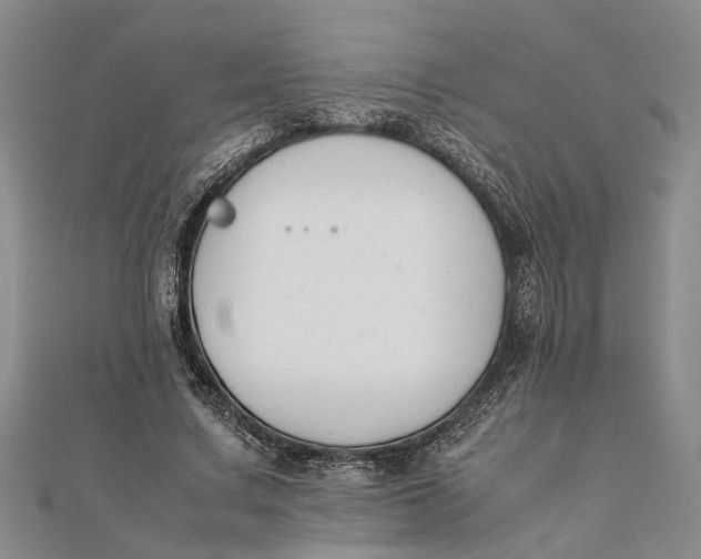 X0000112170683200908281340