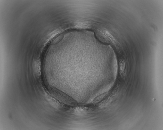 X0000112170684200908281340