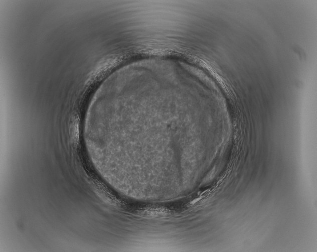 X0000112170685200908281340