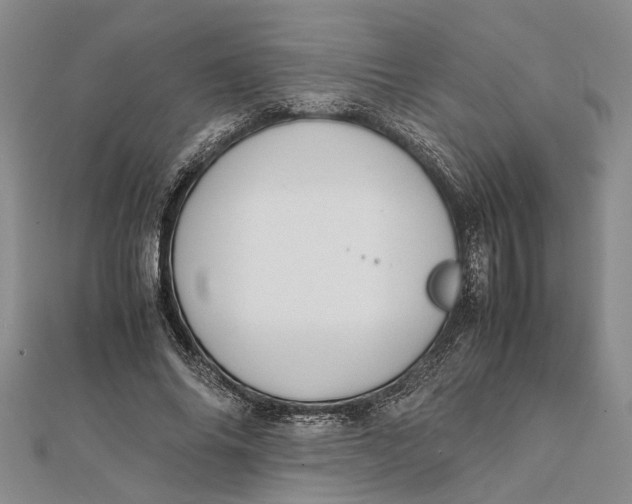 X0000112170686200908281340