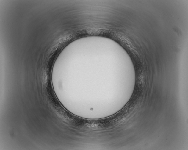 X0000112170687200908281340