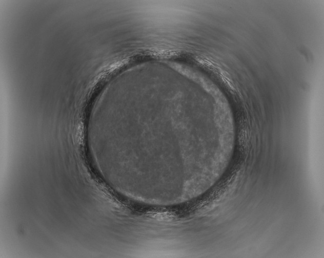 X0000112170689200908281340