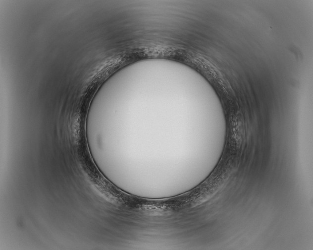 X0000112170690200908281340