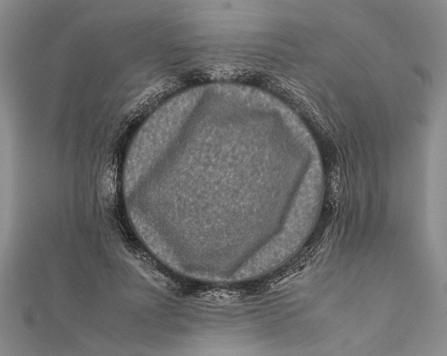 X0000112170691200908281340