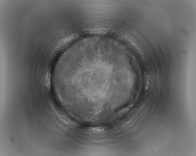 X0000112170692200908281340