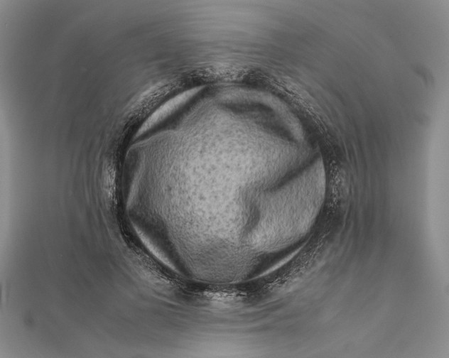 X0000112170693200908281340