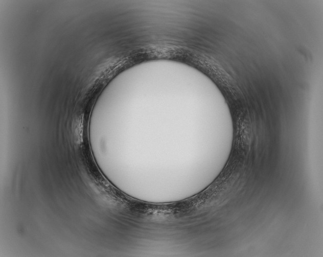 X0000112170694200908281340