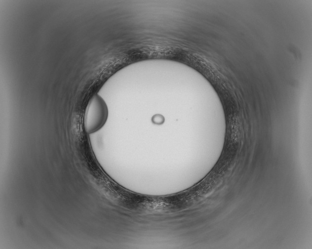 X0000112170695200908281340