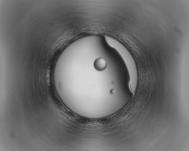 X0000112170696200908281340