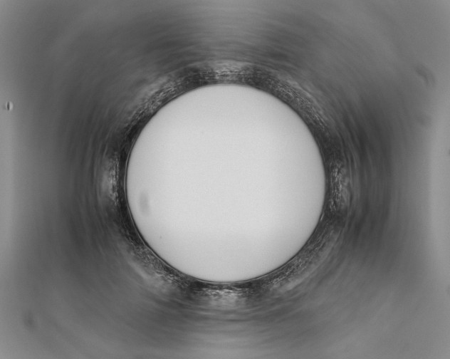 X0000112170698200908281340