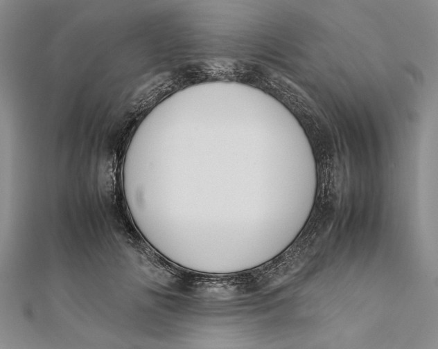 X0000112170702200908281340