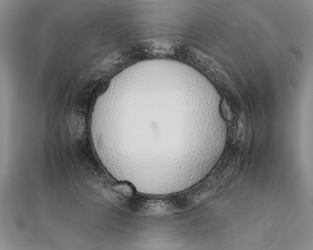 X0000112170704200908281340