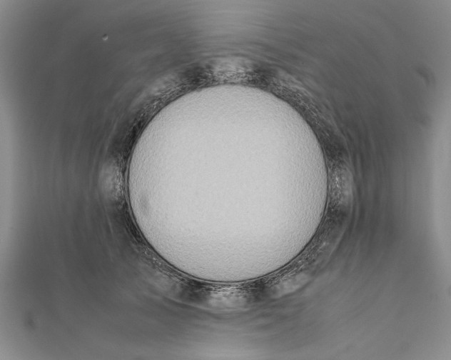 X0000112170705200908281340