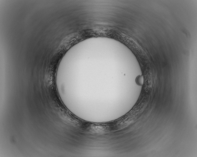 X0000112170706200908281340