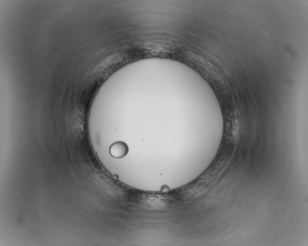 X0000112170710200908281340