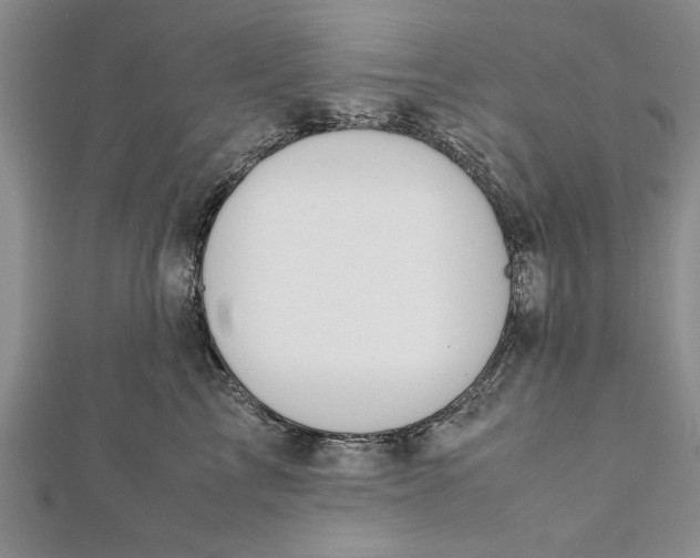 X0000112170713200908281339