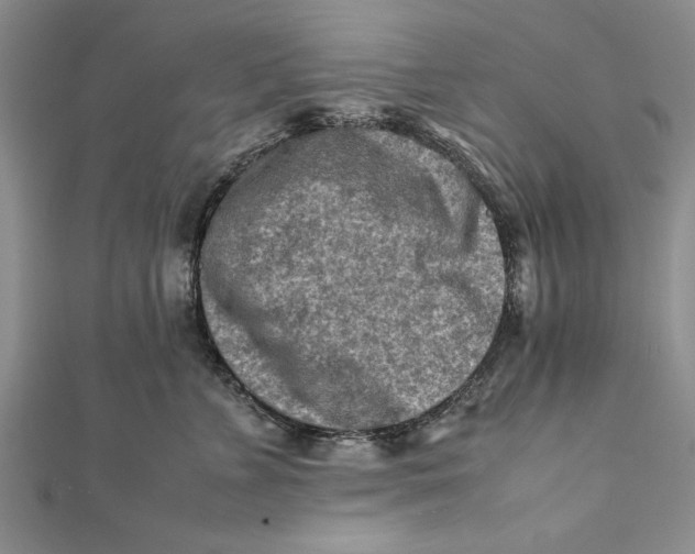 X0000112170715200908281339