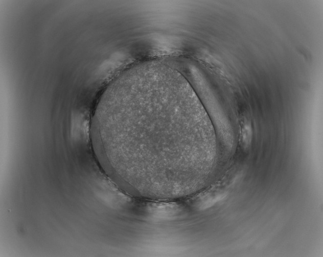 X0000112170716200908281339