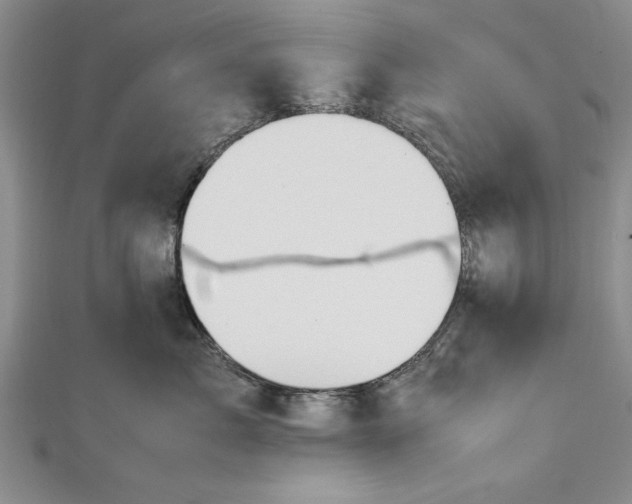 X0000112170717200908281339