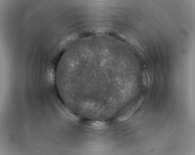 X0000112170718200908281339