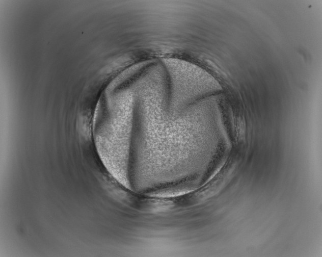 X0000112170719200908281339