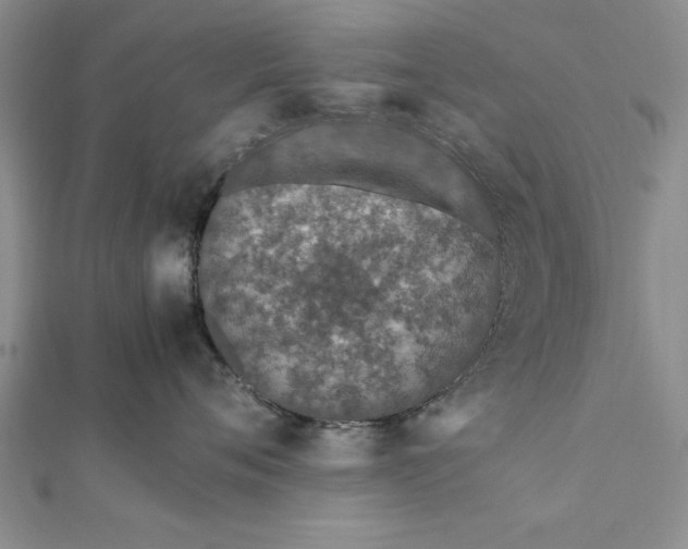 X0000112170720200908281339