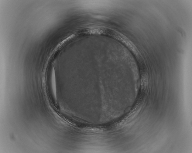 X0000112170722200908281339