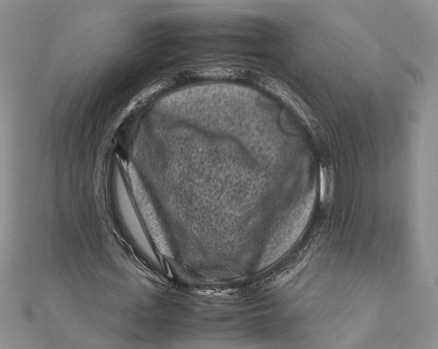 X0000112170723200908281339