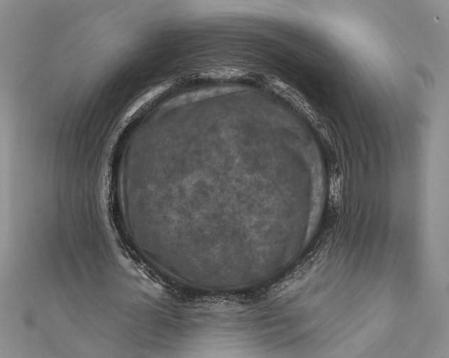 X0000112170724200908281339