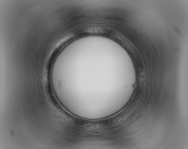 X0000112170727200908281339