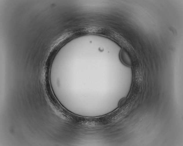 X0000112170730200908281339