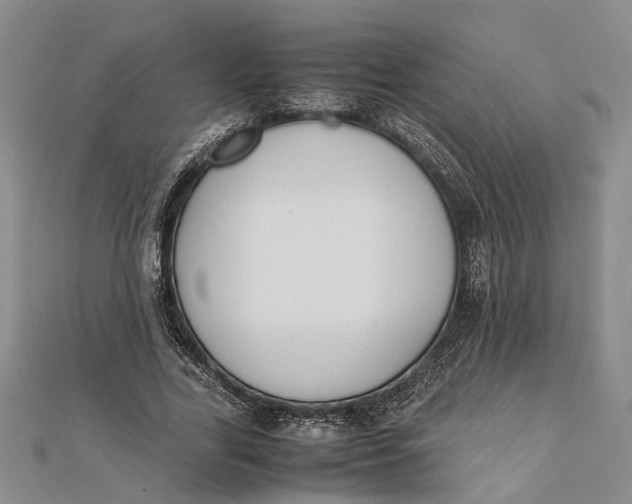 X0000112170731200908281339