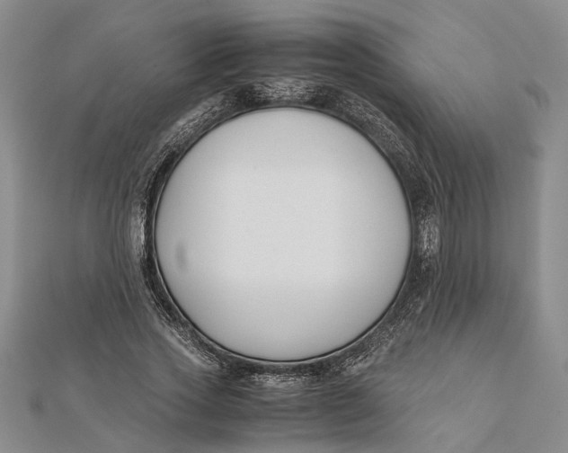 X0000112170733200908281339