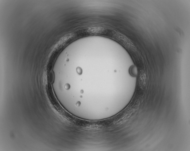 X0000112170734200908281339