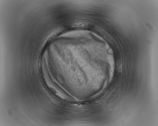 X0000112170735200908281339