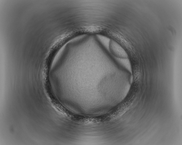 X0000112170736200908281339