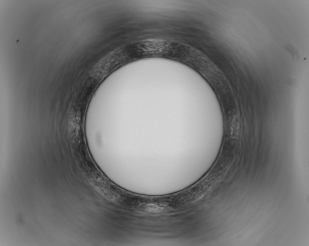 X0000112170737200908281339