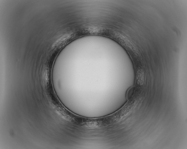 X0000112170740200908281339