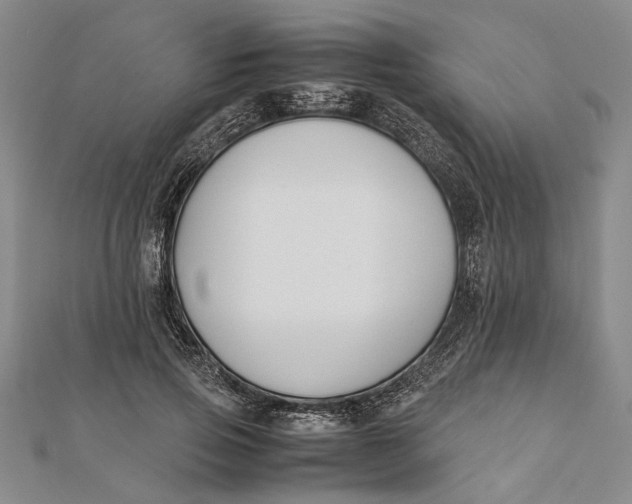 X0000112170741200908281339