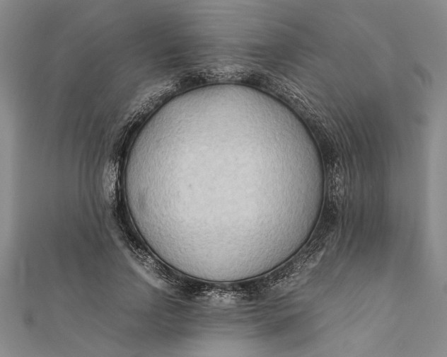 X0000112170742200908281339