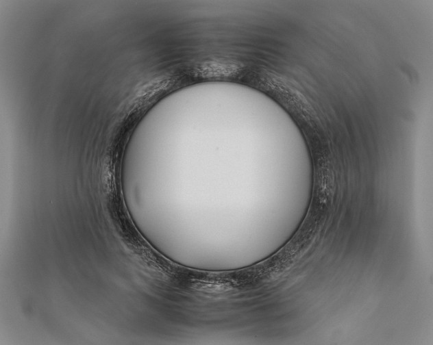 X0000112170743200908281339